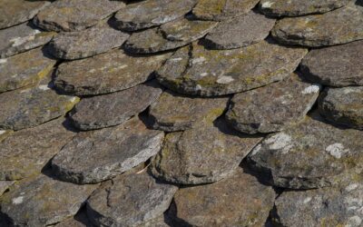 Your Quick Guide to Slate Roofs: Types, Longevity, and Tell-Tale Signs of Aging
